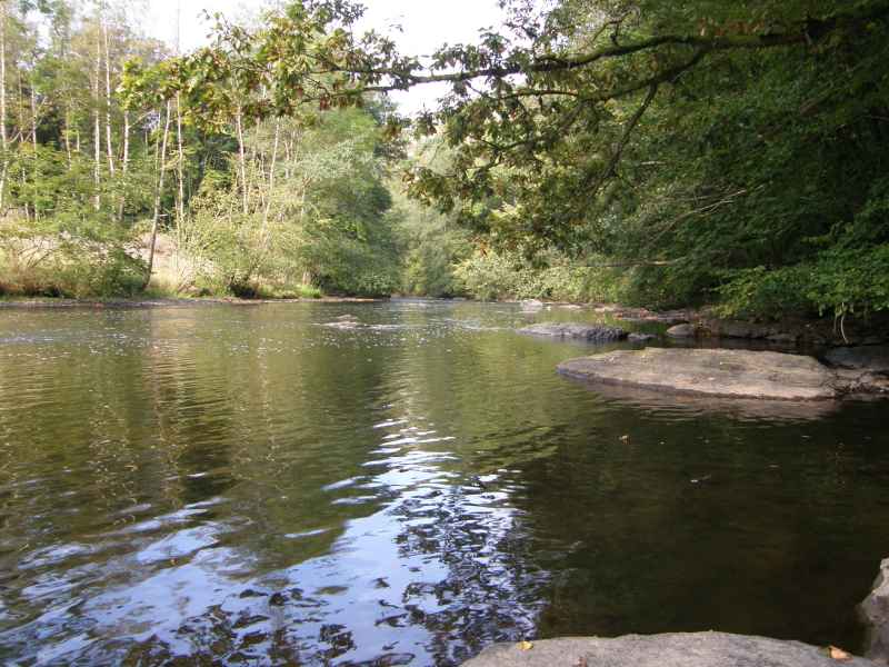 photo 5 promenade Blancs Bois Houffalize